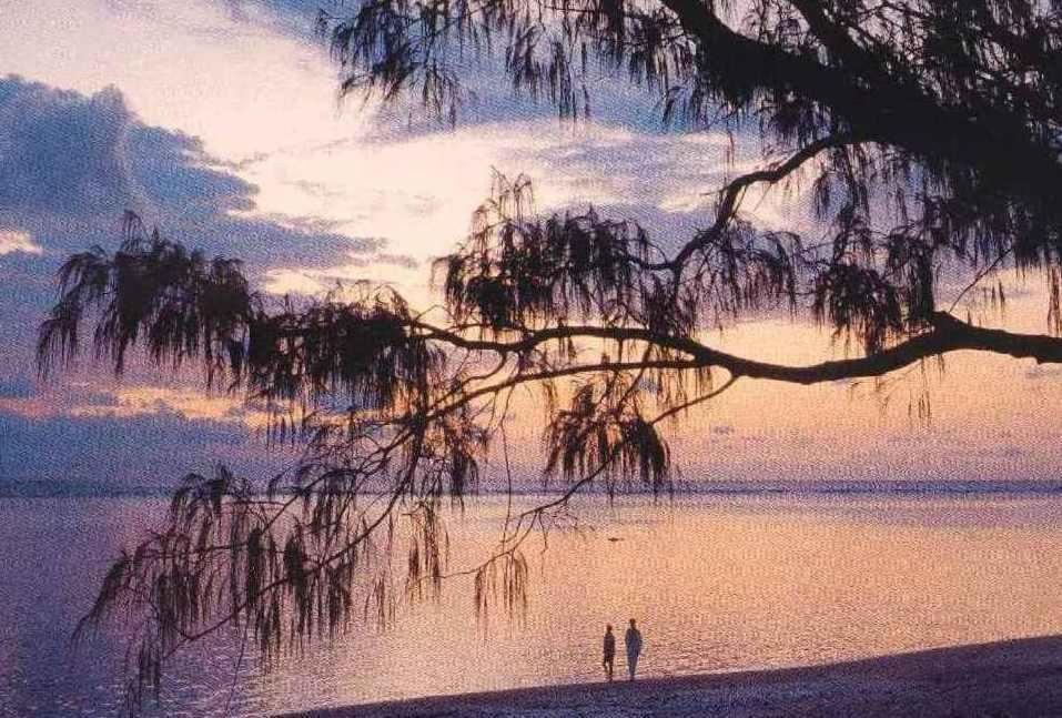 Coral Sea Retreat Hotel Port Douglas Esterno foto